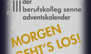 Adventskalender der GFS-4 bei Instagram